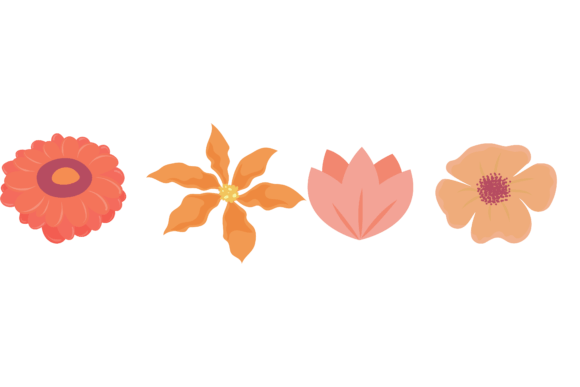 Download Flower Beautiful Collection Design - Collection Collection