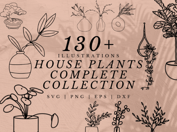 Download 130+ House Plant Illustration SVGs - House plant Collection