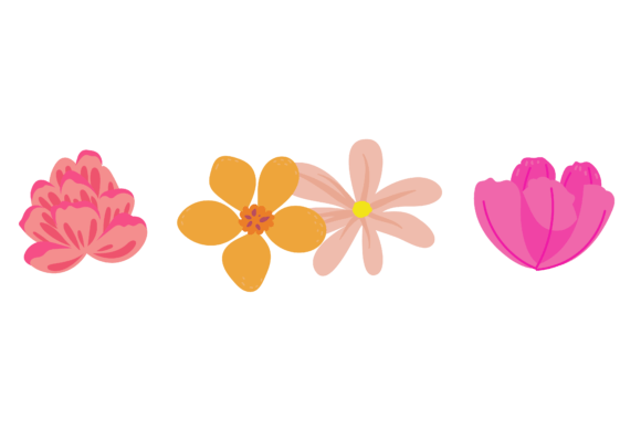 Download Set Flower Beautiful Collection - Collection Collection
